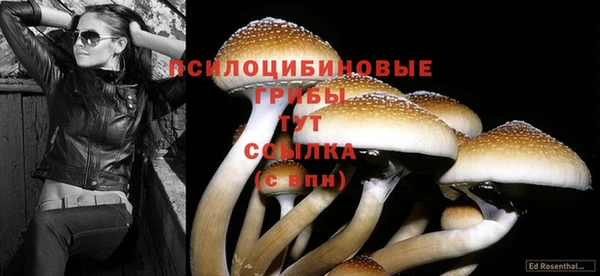 винт Заволжье
