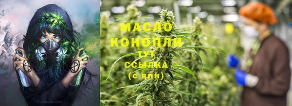 прущие грибы Елабуга