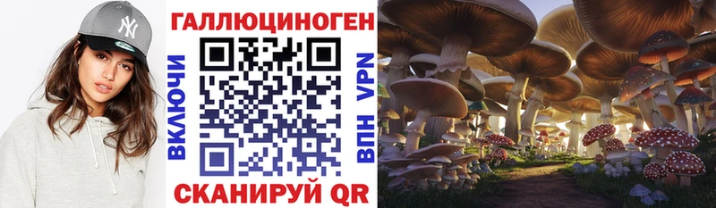 Псилоцибиновые грибы Psilocybine cubensis  где можно купить наркотик  Одинцово 